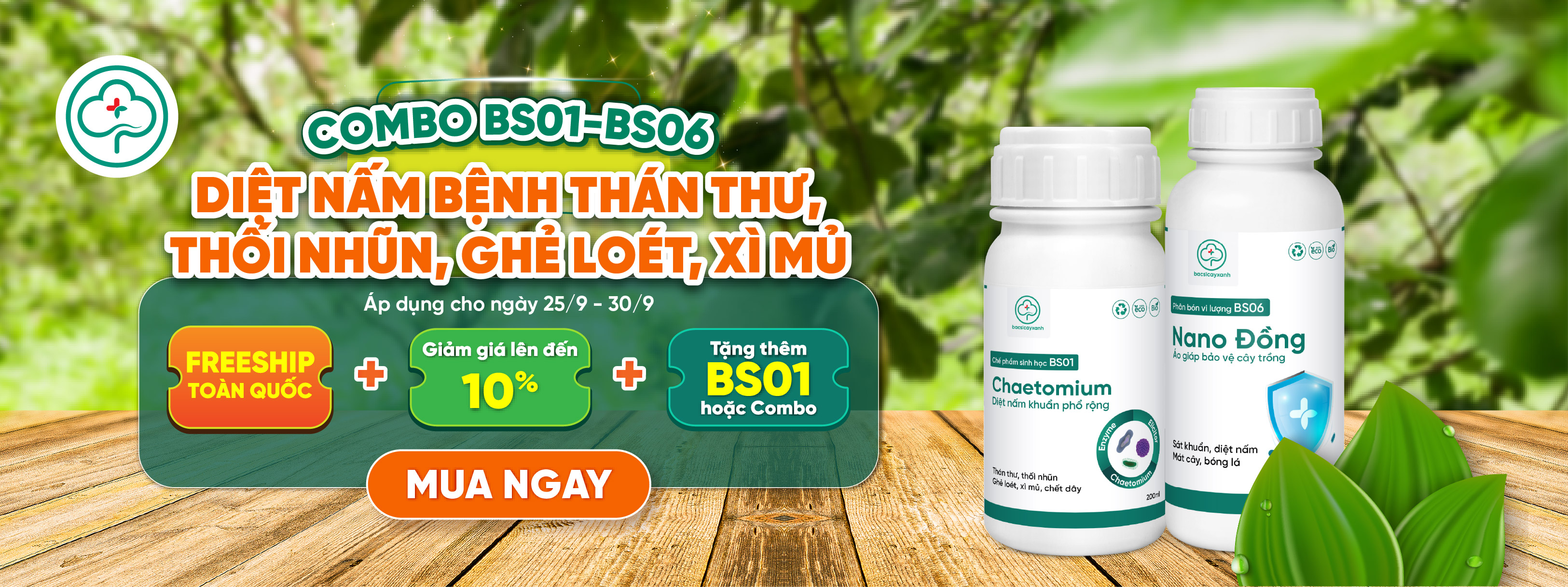 bs01-bs06 mobile banner 1