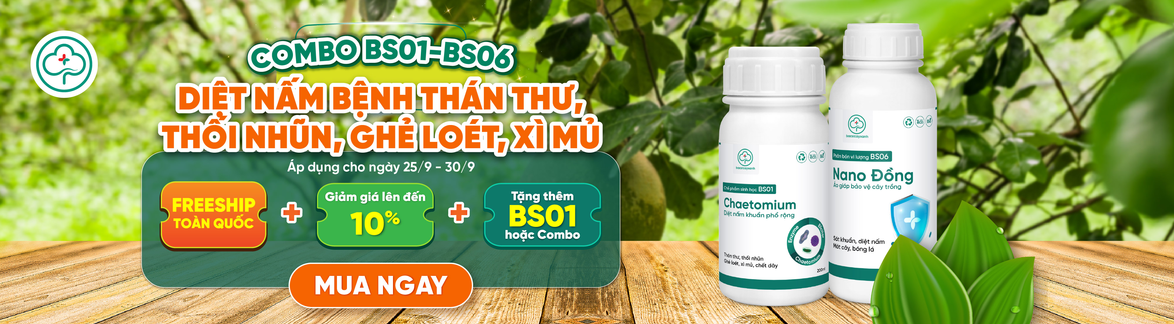 bs01-bs06 desktop banner 1