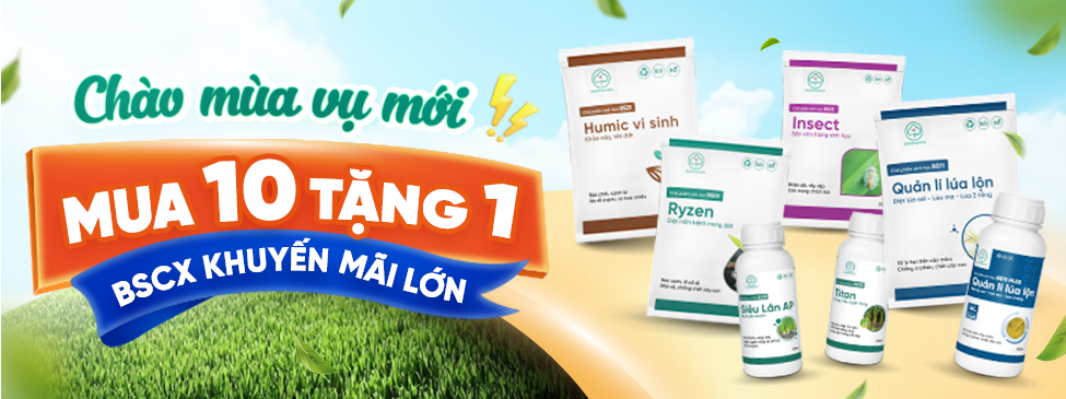 bs01-bs06 mobile banner 1